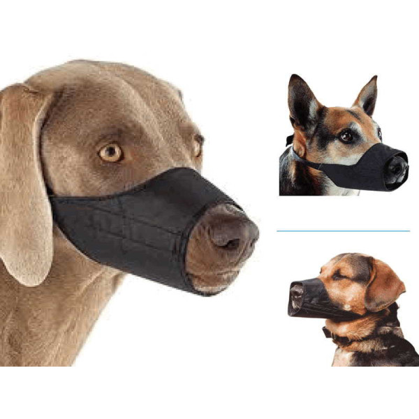 Köpek Ağızlığı M